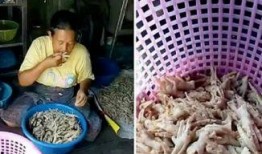 爆料无骨鸡脚视频播放,揭秘美食制作新潮流