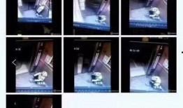 美团视频爆料,揭秘外卖行业幕后真相